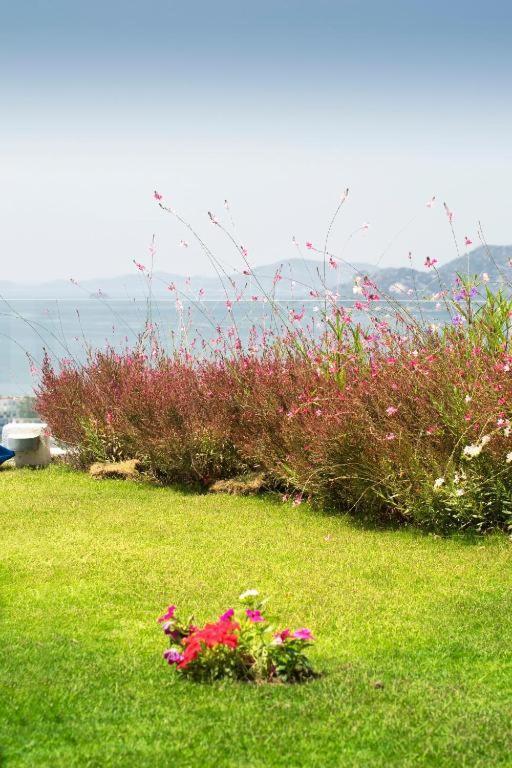 Bodrum Horizon Villas Exterior photo